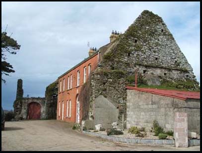 Old abbey ruins in newer house