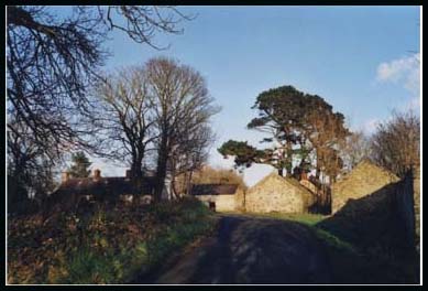 Ballydugan cluchan