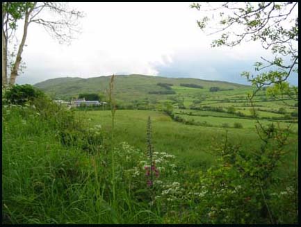 Drinn townland,Dromara