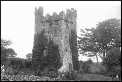 Walshestown Castle